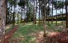 Land in Uthiru - 7