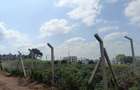 Residential Land at Zaria Village - 4