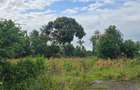6 ac Land at Bomani - 16