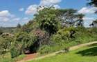 0.25 ac Residential Land at Ngong Town - 9