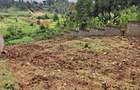 0.125 ac Land in Ruaka - 4