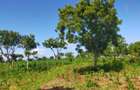 Land in Kilifi County - 4