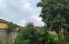 0.5 ac Residential Land at Runda - 13