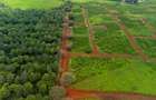 0.125 ac Residential Land in Ruiru - 3