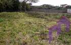 505 m² Residential Land at Muthaura Road - Rimpa - 3