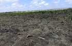 12 ha Land at Malindi -Lamu Highway - 6