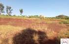 2.5 ac Land at Behind Thika Greens Estate - 4