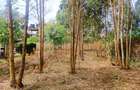 500 m² Residential Land at Gikambura Primary - 5