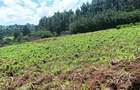 0.669 ac Land in Kikuyu Town - 2
