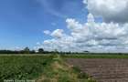 10 ac Land at Isinya - 19