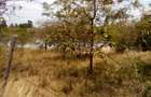 Land at Makuyu - 9