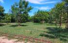 Land in Vipingo - 6