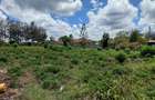 Residential Land at Redhil Road - 20