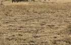 30 ac Land at Thika-Garissa Road - 7
