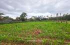 0.5 ac Land in Ridgeways - 5