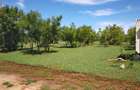 Land in Vipingo - 11