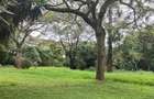 200 ac Land at Kilimani - 11