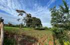 0.5 ac Residential Land in Nyeri - 8