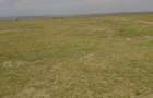 Residential Land in Nanyuki - 10