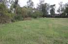 0.10 ha Residential Land at Rimpa Road - 12
