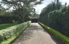 0.47 ac Commercial Property with Parking at Mucai Drive - 2