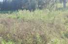 2.5 ac Land at Village (Mbiriri Muthaiga) - 17