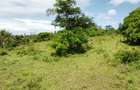 2.0 ac Land at Diani - 5