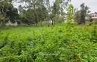 1 ac Land in Runda - 1