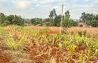 0.05 ha Residential Land in Kamangu - 7