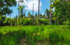 Land in Kilifi County - 3