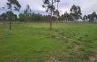 Land in Narok - 3