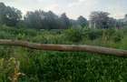1.25 ac Land in Lavington - 1