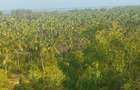 0.05 ha Land at Gede Palms Estate - 1