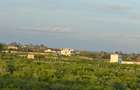 0.045 ha Land at Mayungu - 3