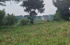 0.5 ac Land in Runda - 11