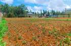 500 m² Residential Land at Nairobi Ndogo Estate - 7