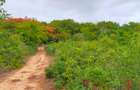 Land in Vipingo - 19