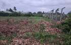 0.5 ac Residential Land at Mirithu Area - 1