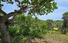 1.2 ac Land at Mtwapa Creekside - 10