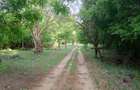 90 ac Residential Land at Kuruwitu-Vipingo - 8