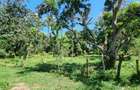 25 ac Land at Mtwapa - 7