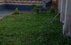 4 Bed House with En Suite in Ongata Rongai - 3