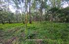 0.5 ac Land in Lake View - 5