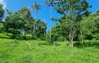 2.5 ac Land at Mtwapa Creekside - 18