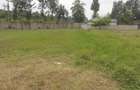 1.3 ac Land at Karen Plains - 3