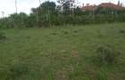 0.25 ac Land in Ongata Rongai - 7