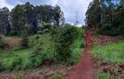 15 ac Land in Tigoni - 6