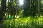 0.5 ac Land in Karen - 3