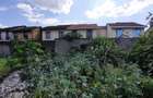 3 Bed House with Garden in Langata - 9