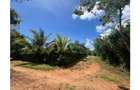 Residential Land in Diani - 7